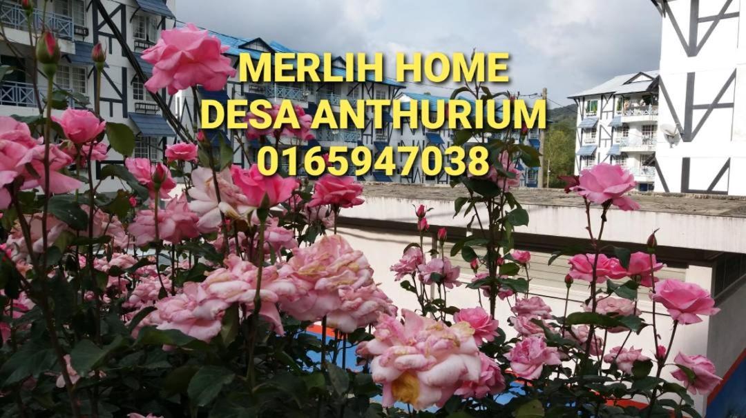 Merlin Home Desa Anthurium تاناه راتا المظهر الخارجي الصورة